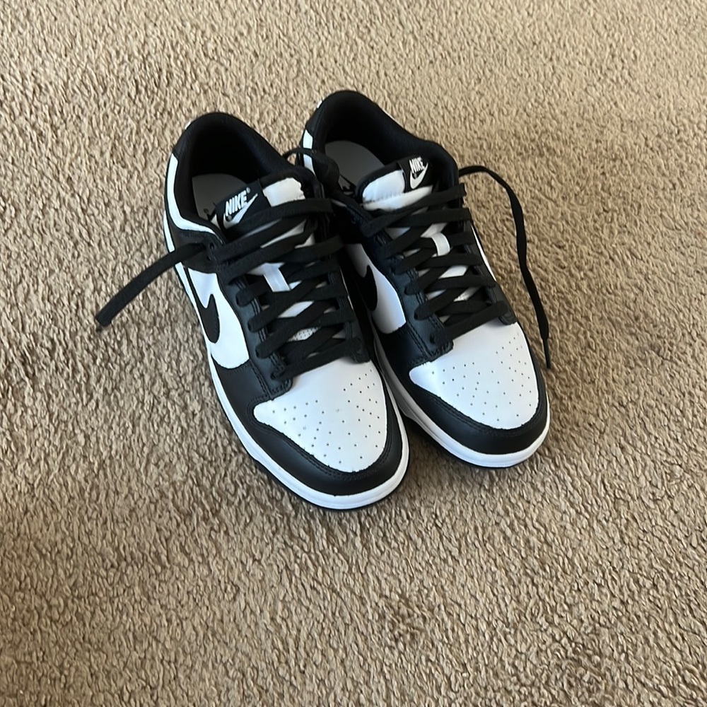 New men’s  Nike Dunk Low Retro